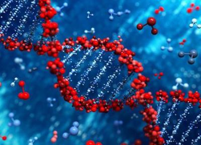 مشخصه یابی ژنوم در رشته DNA با ترکیب سه فناوری محقق شد