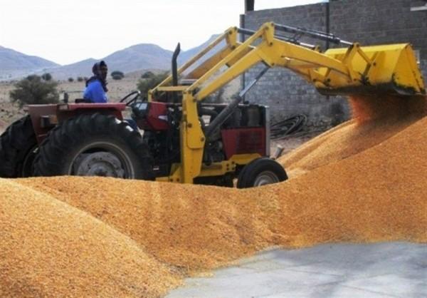 ژاپن واردات گندم کانادا را به دلیل آلودگی به تراریخته معلق ژاپن واردات گندم کانادا را به دلیل آلودگی به تراریخته معلق کرد