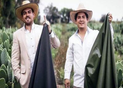 کاکتوس به چرم تبدیل می شود!
